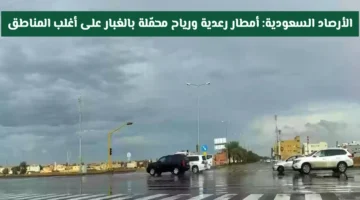 تحذير الأرصاد السعودية.. موجة أمطار رعدية ورياح مغبرة تضرب أغلب المناطق ونقاط التأثير تنكشف